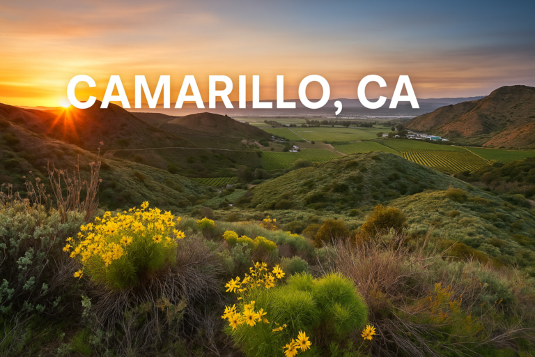 car detailing near me camarillo ca